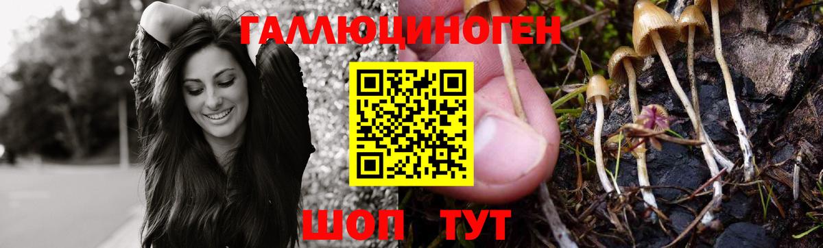 Галлюциногенные грибы ЛСД  Вход с VPN  Чебоксары 